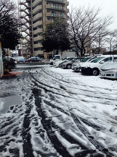 snow.JPG